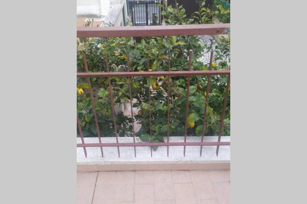 Appto Limone Apartment Lido di Ostia Exterior photo